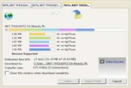 Download Accelerator Plus DAP 10
