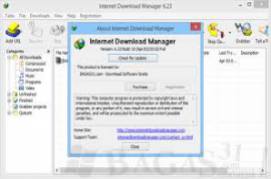 Internet Download Manager Build 21