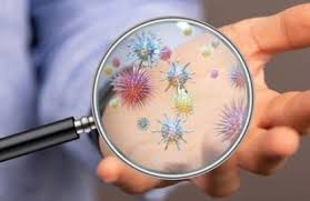 Responsabilità della Struttura Sanitaria e del Ministero